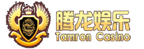 腾龙游戏 Logo